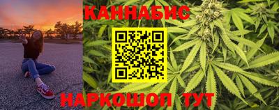 индика Будённовск