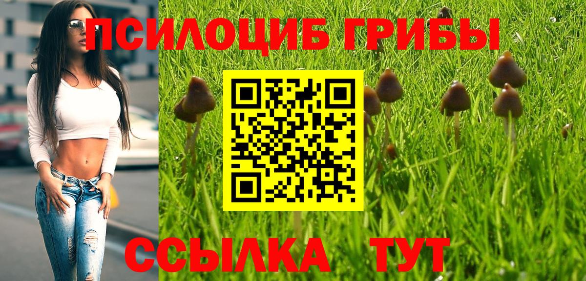 Галлюциногенные грибы мицелий Карабулак