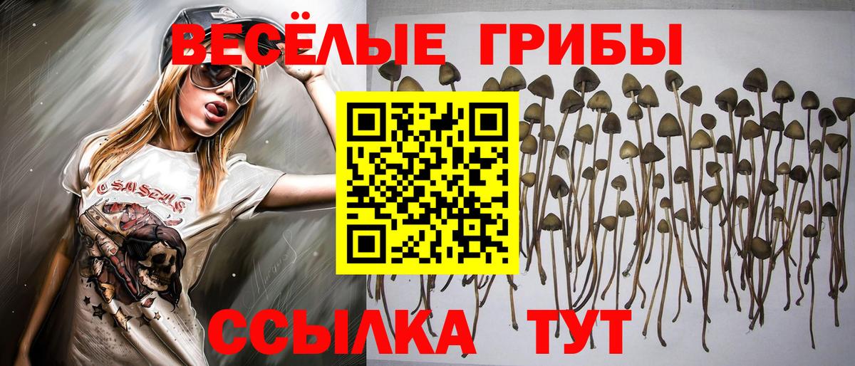Карабулак  ГАШИШ  LSD-25  МАРИХУАНА  Купить наркотики  Вход с VPN  Мефедрон кристаллы  МАРИХУАНА  А ПВП СК  